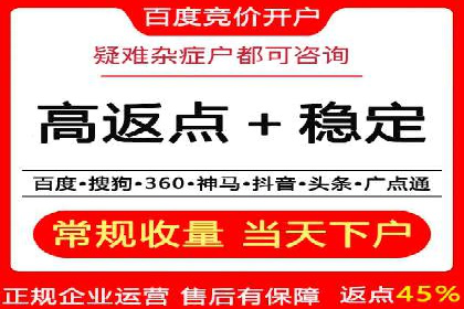 SEM代理服务：案例对比，效果哪家更胜一筹